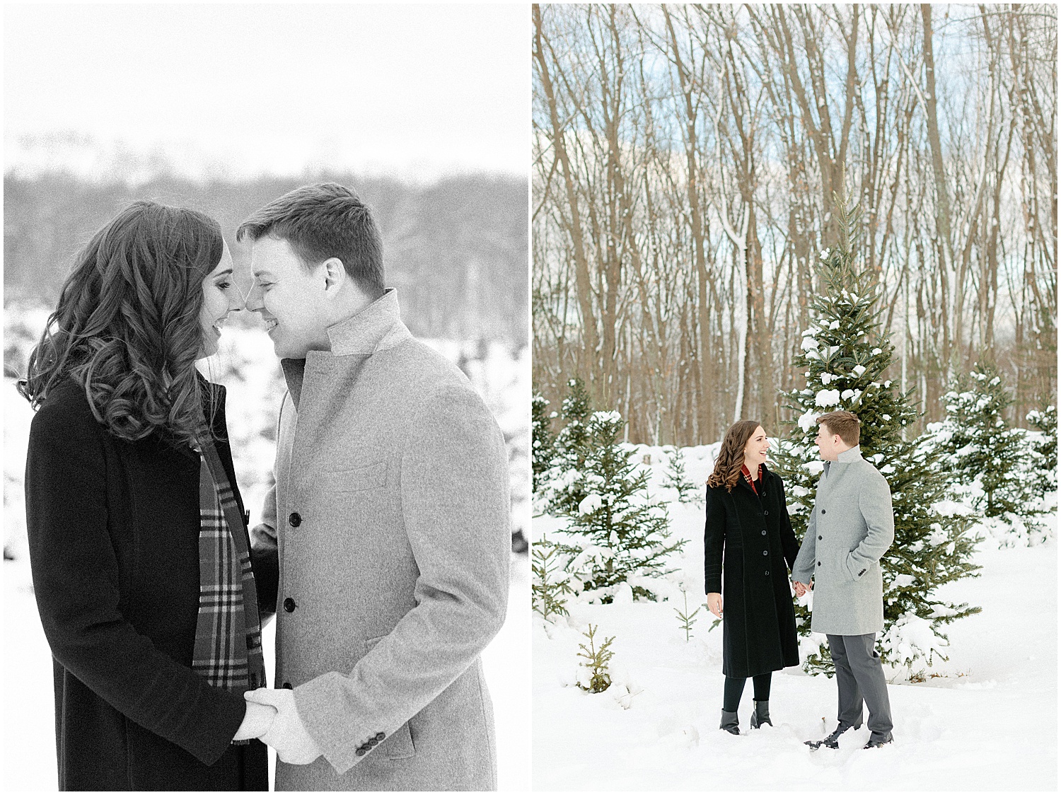 Boston Holiday Tree Farm Engagement Photos