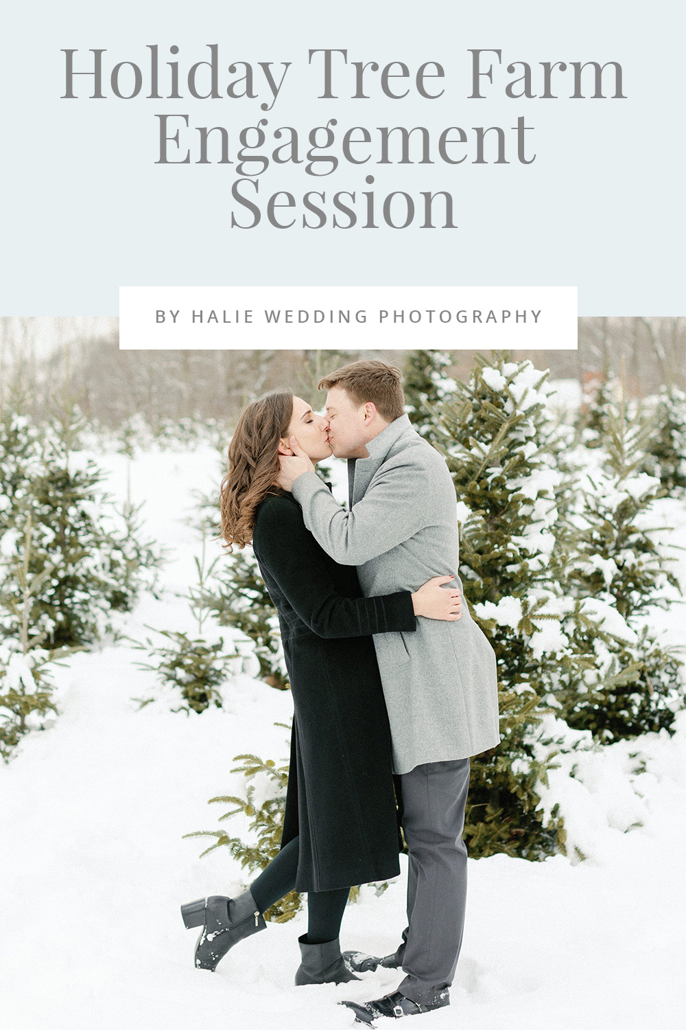New England Holiday Tree Farm Engagement Photos