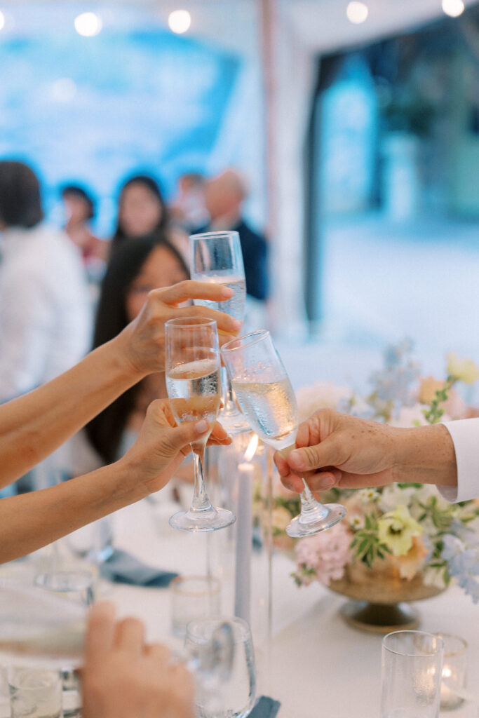 Close up guest cheers at wedding reception