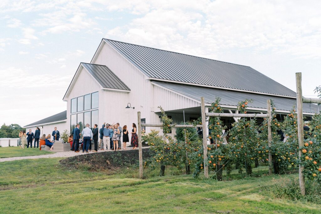 Cocktail hour at The Greenery at McKenzie's Farm