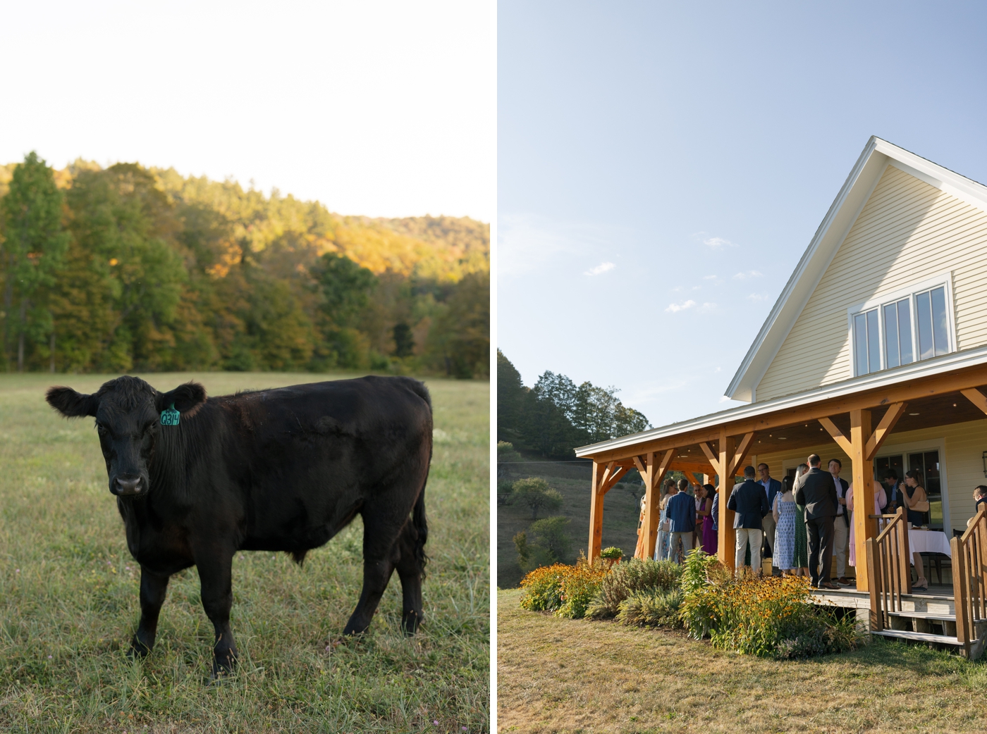 Wedding rehearsal dinner at Cloudland Farm